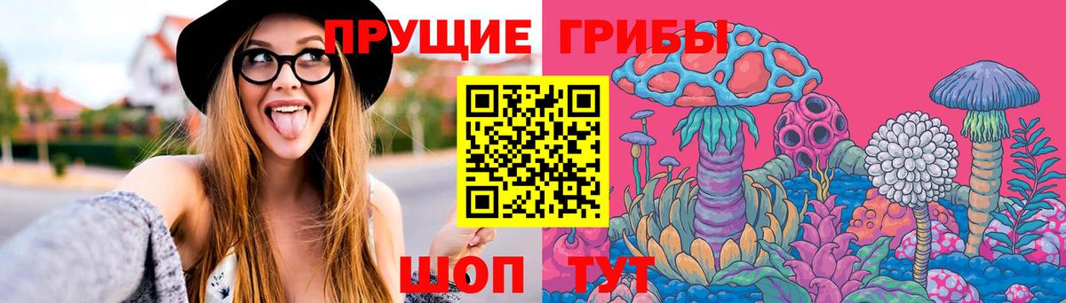 Псилоцибиновые грибы Psilocybe  Псилоцибиновые грибы мухоморы  Красноярск  Вход с VPN 